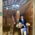 Dressage 4Kids